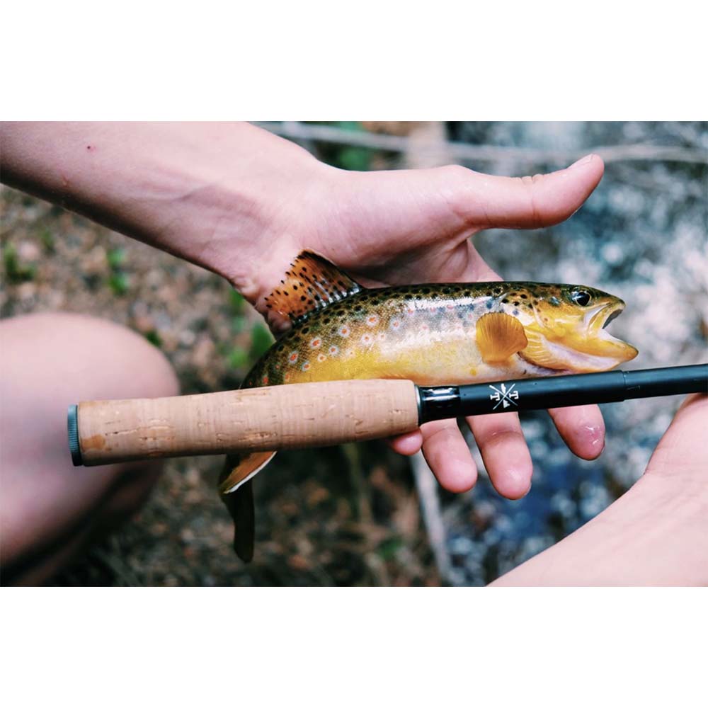 Tiny Ten Tenkara Fly Rod